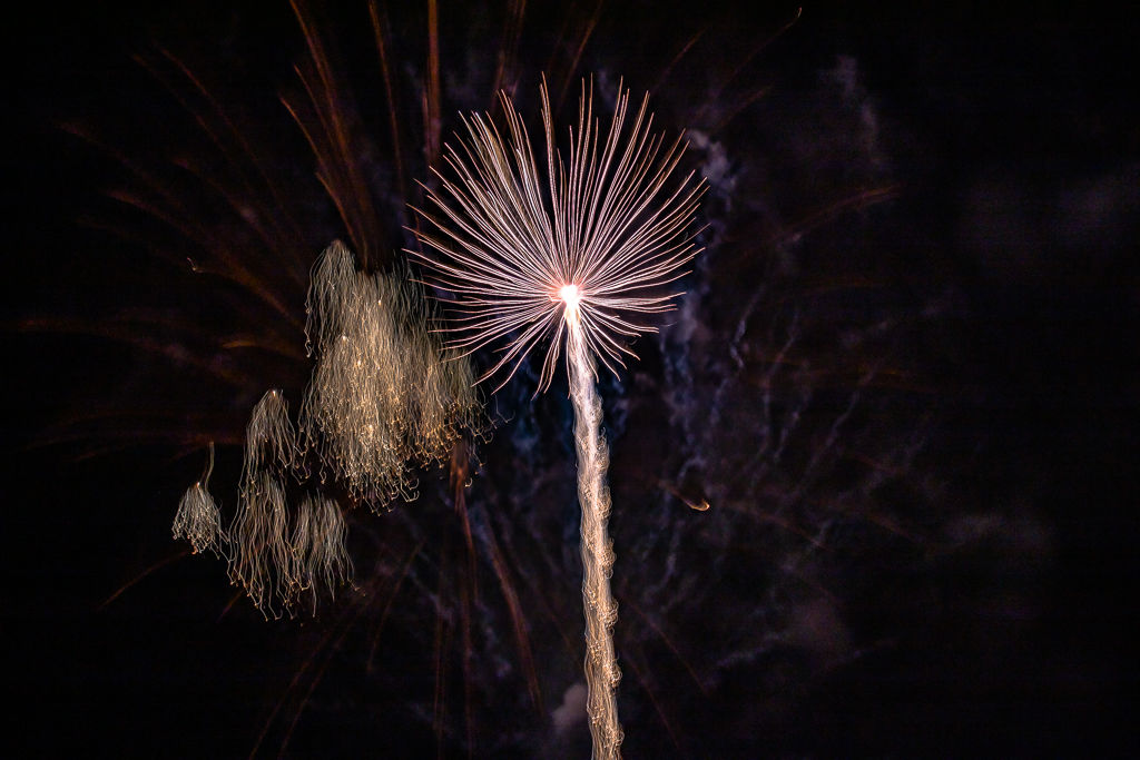 Fireworks 2020-2970.jpg